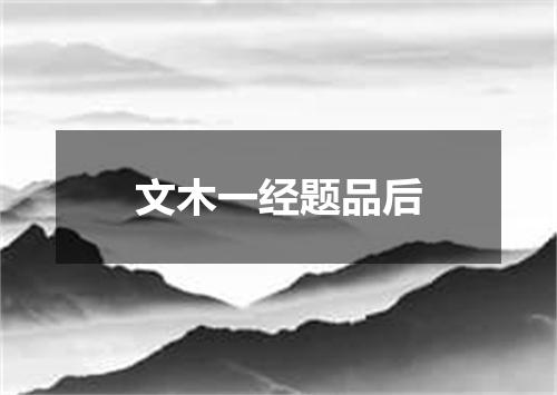 文木一经题品后