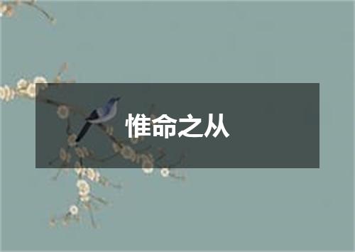 惟命之从