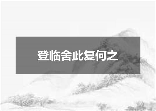 登临舍此复何之