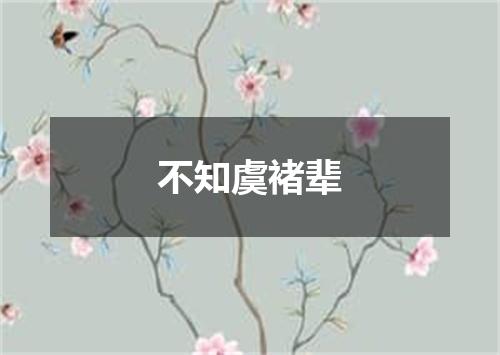 不知虞褚辈