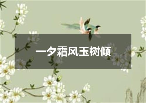 一夕霜风玉树倾
