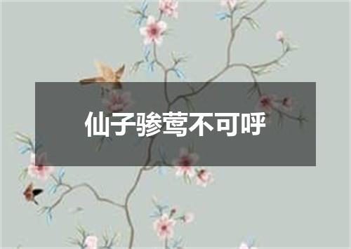 仙子骖莺不可呼