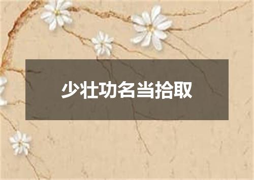 少壮功名当拾取