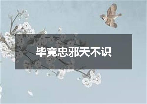 毕竟忠邪天不识