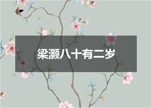 梁灏八十有二岁