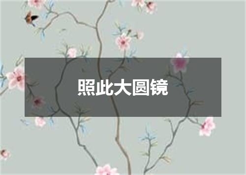 照此大圆镜