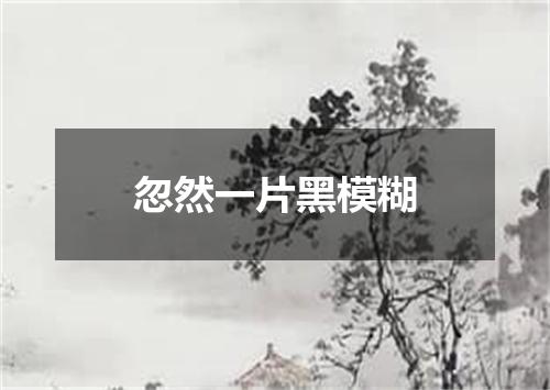 忽然一片黑模糊