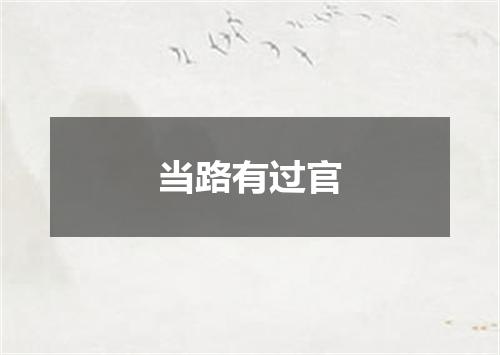 当路有过官
