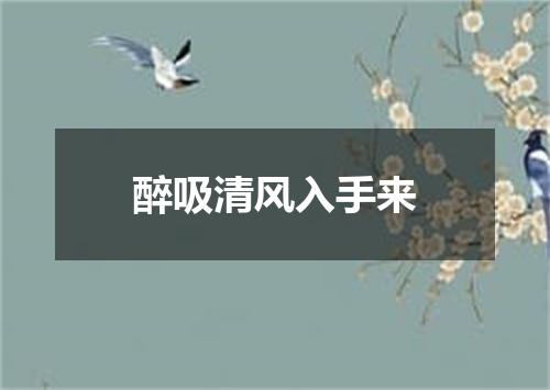 醉吸清风入手来
