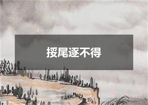 挼尾逐不得