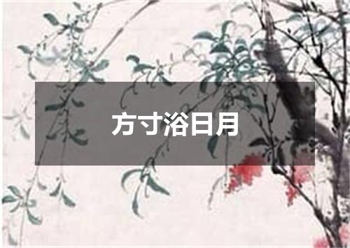 方寸浴日月