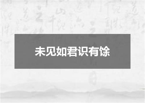 未见如君识有馀