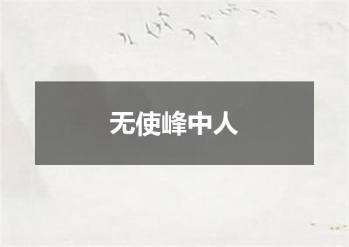 无使峰中人