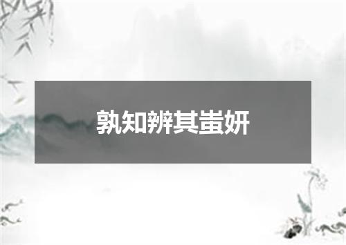孰知辨其蚩妍