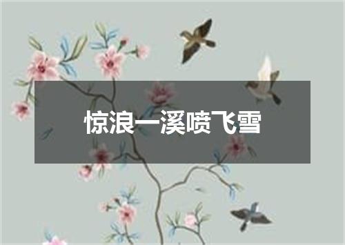 惊浪一溪喷飞雪