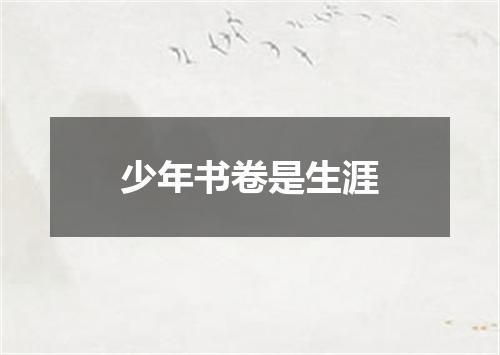 少年书卷是生涯