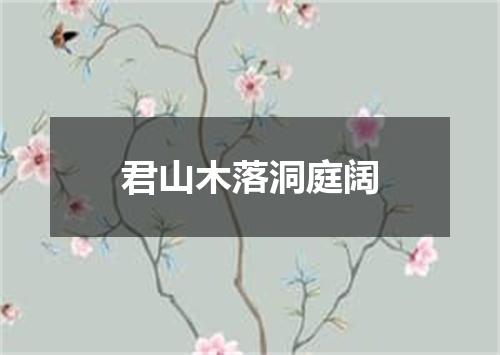 君山木落洞庭阔