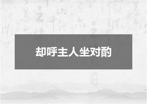 却呼主人坐对酌