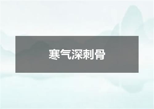 寒气深刺骨