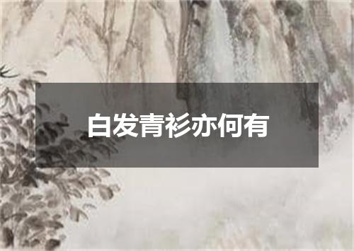 白发青衫亦何有
