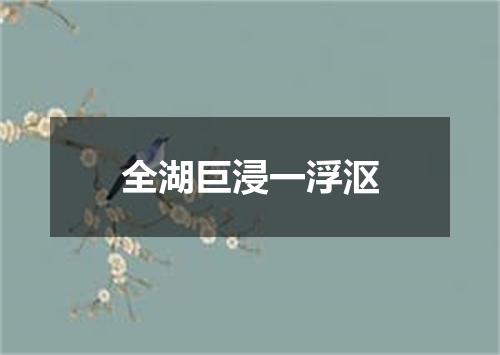 全湖巨浸一浮沤