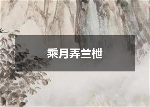 乘月弄兰枻