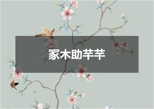 冢木助芊芊