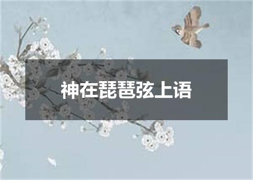 神在琵琶弦上语