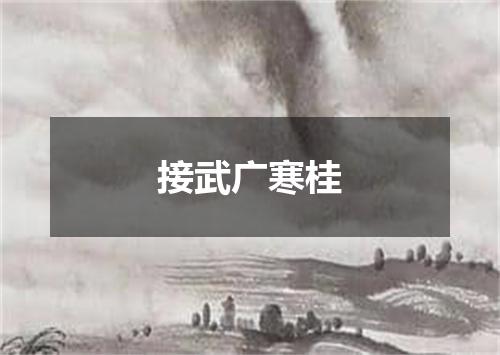 接武广寒桂