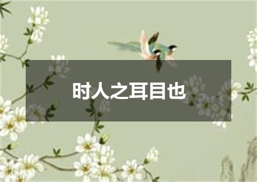 时人之耳目也