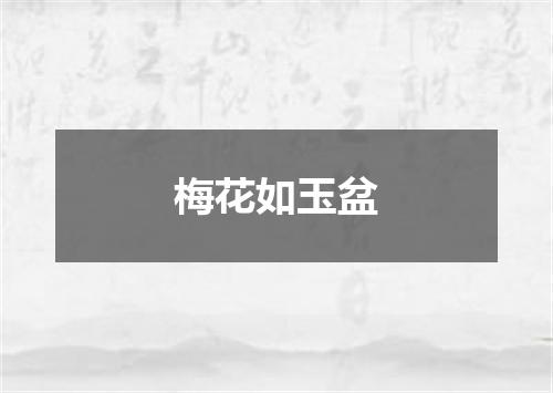 梅花如玉盆