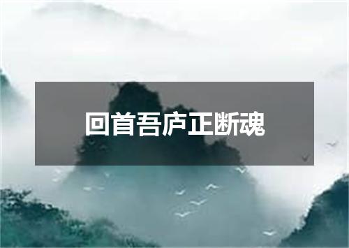 回首吾庐正断魂