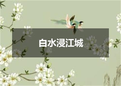 白水浸江城