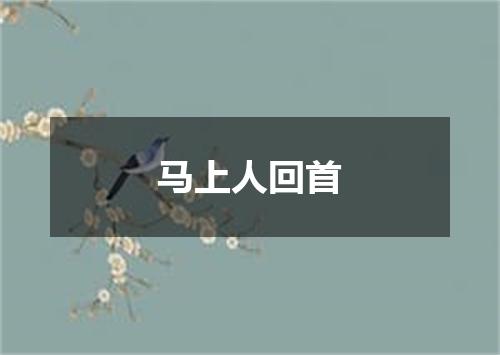 马上人回首