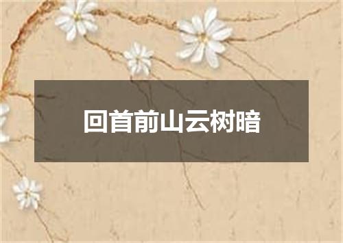 回首前山云树暗