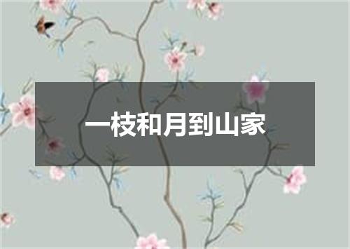 一枝和月到山家