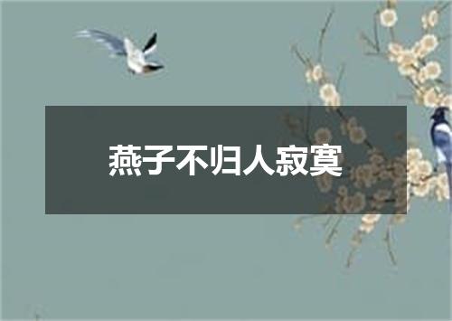 燕子不归人寂寞