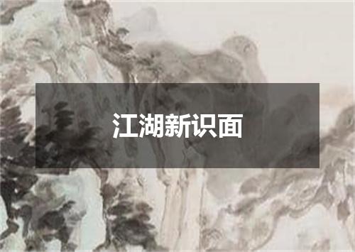 江湖新识面