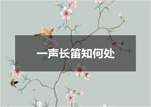 一声长笛知何处