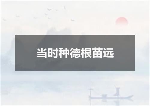当时种德根苗远