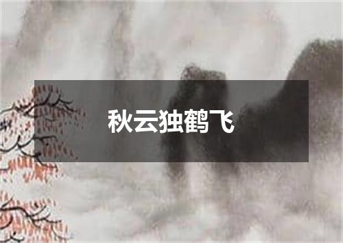 秋云独鹤飞