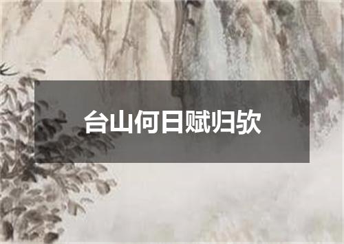 台山何日赋归欤