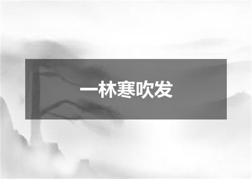 一林寒吹发