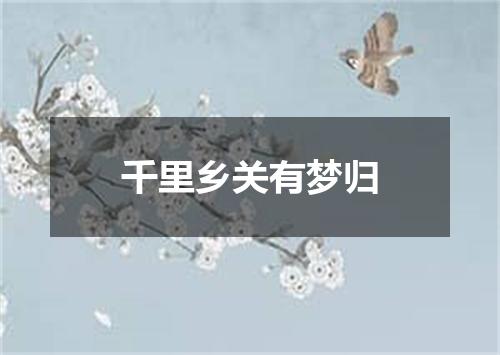 千里乡关有梦归