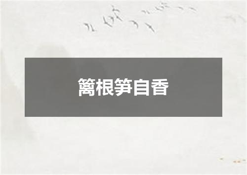 篱根笋自香