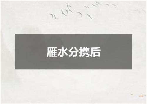 雁水分携后