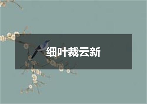 细叶裁云新