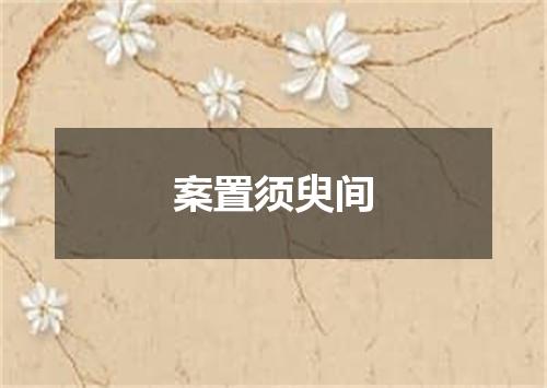 案置须臾间