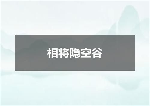 相将隐空谷