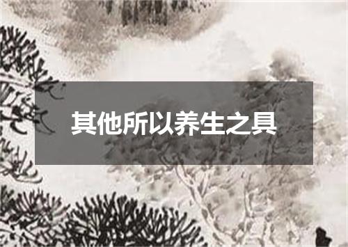 其他所以养生之具